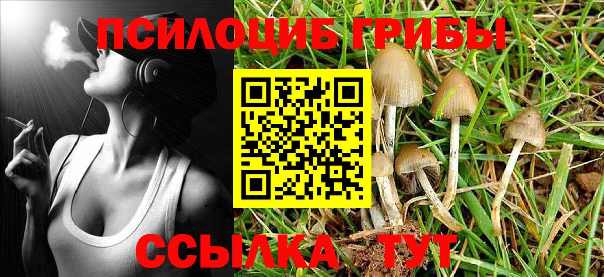 Галлюциногенные грибы MAGIC MUSHROOMS  Галлюциногенные грибы Psilocybine cubensis  Вход с VPN  Кузнецк 